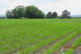 18.56 Acres New Clear Creek Road - Photo 6