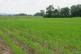 18.56 Acres New Clear Creek Road - Photo 7