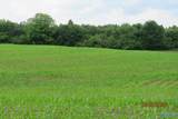 18.56 Acres New Clear Creek Road - Photo 9