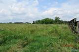 835 New Clear Creek Road - Photo 7