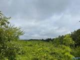 Tract 2 Tom Cat Road - Photo 1