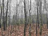 80 Acres Bella Vista Drive - Photo 19