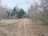80 Acres Bella Vista Drive - Photo 5