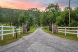 7805 Owls Hollow Road - Photo 33
