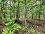15 County Road 759 - Photo 11