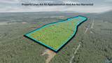13 County Road 759 - Photo 1