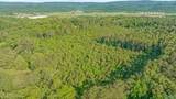 14 Acres Wills Creek Road - Photo 17