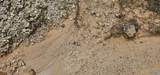 3.3+/- Acres--0 County Road 27 - Photo 43