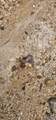 3.3+/- Acres--0 County Road 27 - Photo 44