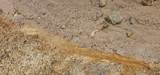 3.3+/- Acres--0 County Road 27 - Photo 45