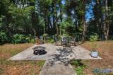 111 Lo Ann Lane - Photo 38