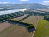 24.2 Acres C C Ivey Road - Photo 10