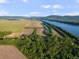24.2 Acres C C Ivey Road - Photo 17
