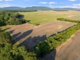 24.2 Acres C C Ivey Road - Photo 21