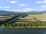 24.2 Acres C C Ivey Road - Photo 8