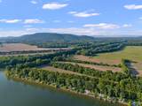 24.2 Acres C C Ivey Road - Photo 9