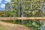 23 acres Martin Road - Photo 4