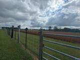275 County Road 606 - Photo 10
