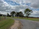 275 County Road 606 - Photo 3