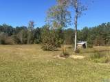 505 County Road 901 - Photo 19