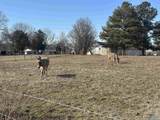 7066 Vivians Road - Photo 17
