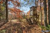80 ACRES Upper Hurricane Road - Photo 1