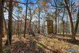 80 ACRES Upper Hurricane Road - Photo 15