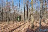 80 ACRES Upper Hurricane Road - Photo 17