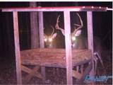 80 ACRES Upper Hurricane Road - Photo 2