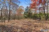 80 ACRES Upper Hurricane Road - Photo 33