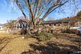 10212 Melanie Drive - Photo 30