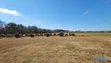 28669 Alabama Highway 251 - Photo 30