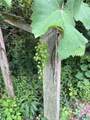 8180 County Road 44 - Photo 47