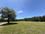 Lot 1 Cedar Springs Drive - Photo 1