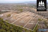 Lot 1 Cedar Springs Drive - Photo 2