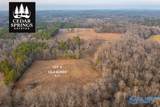 Lot 1 Cedar Springs Drive - Photo 7