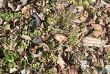 102 1st Street - Photo 29