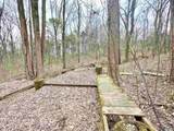 7 acres Carters Gin Road - Photo 4