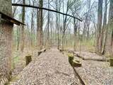7 acres Carters Gin Road - Photo 5