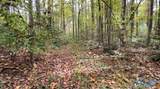 7 acres Carters Gin Road - Photo 6