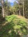 32 Acres Wesson Gap Road - Photo 9