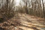 20.5 acres County Road 491 - Photo 11