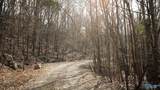 20.5 acres County Road 491 - Photo 2