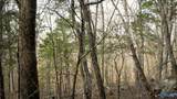 20.5 acres County Road 491 - Photo 3