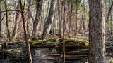 20.5 acres County Road 491 - Photo 4