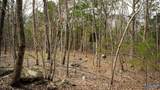 20.5 acres County Road 491 - Photo 5