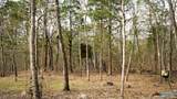 20.5 acres County Road 491 - Photo 6