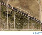 Tract 3 County Road 450 - Photo 1