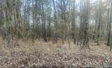 Tract 3 County Road 450 - Photo 3