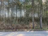 Tract 3 County Road 450 - Photo 4
